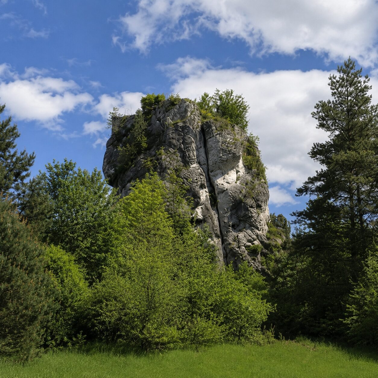 Odkrywamy Śląskie