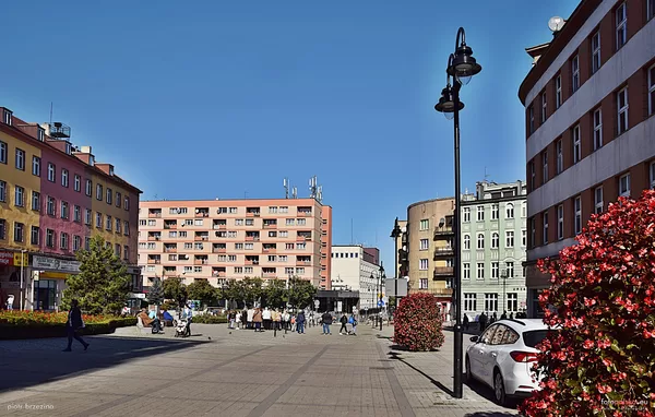 

  
    Fot. 12

  
    Plac Wolności_lata 90


