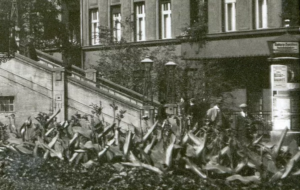 

  
    Fot. 6
  

  
    Tarasy Brühla
  

