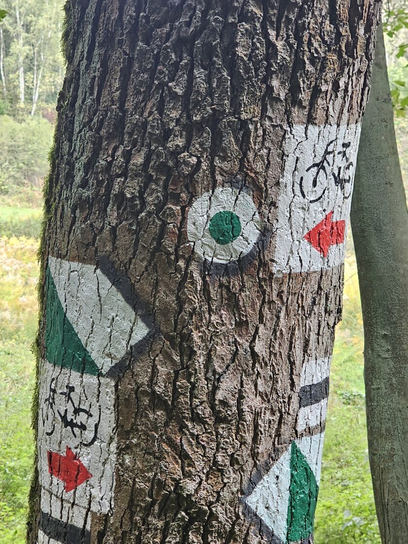 Drogowskazy i mapa szlaków turystycznych