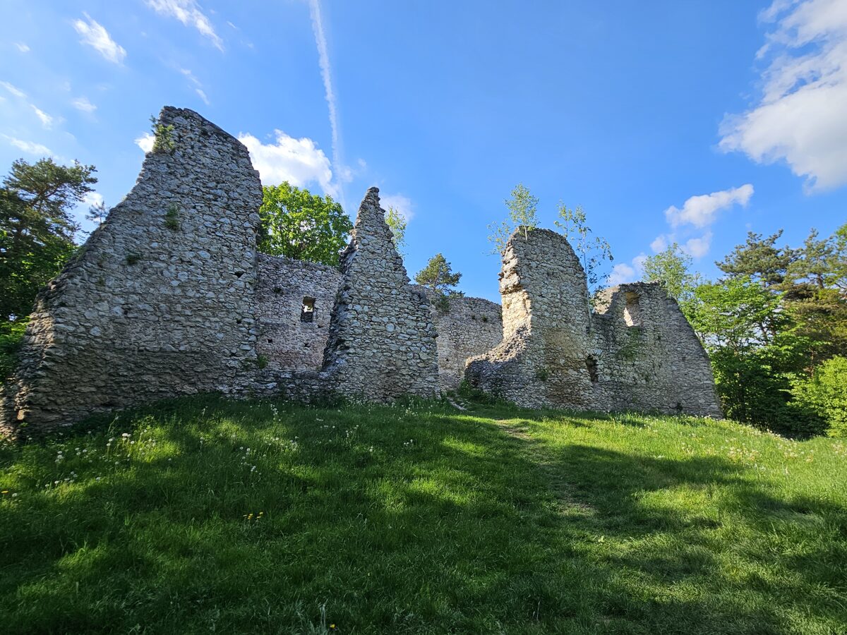 Ruiny zamku w Bydlinie
