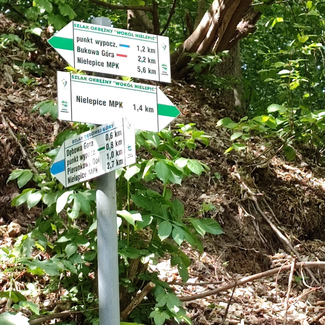 Drogowskazy szlaków turystycznych w lesie