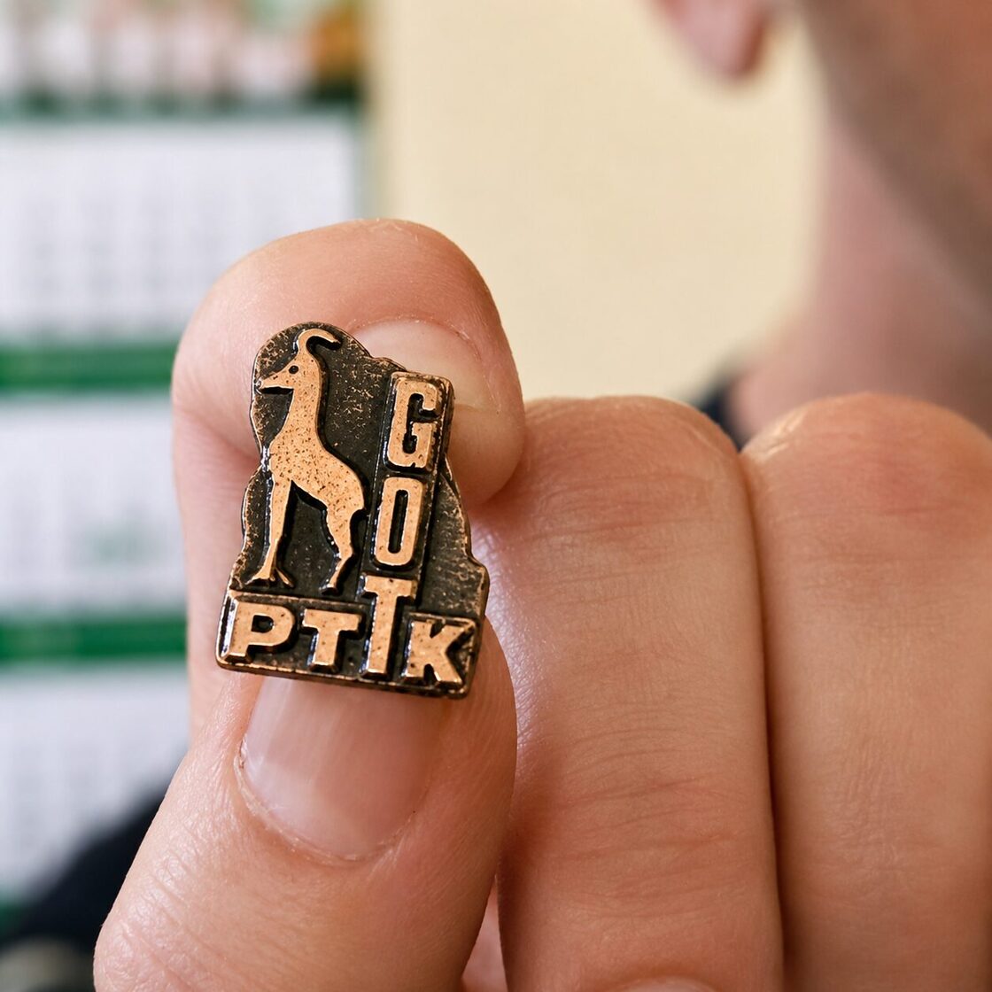 Brązowa Górska Odznaka Turystyczna PTTK
