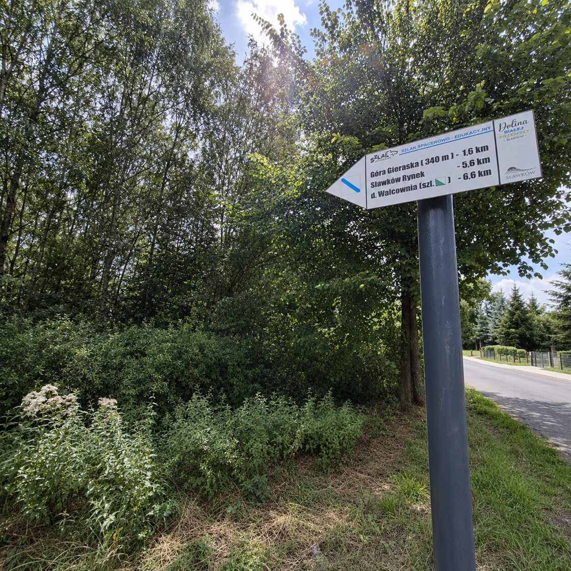Szlak spacerowo-edukacyjny w&nbsp;lesie
