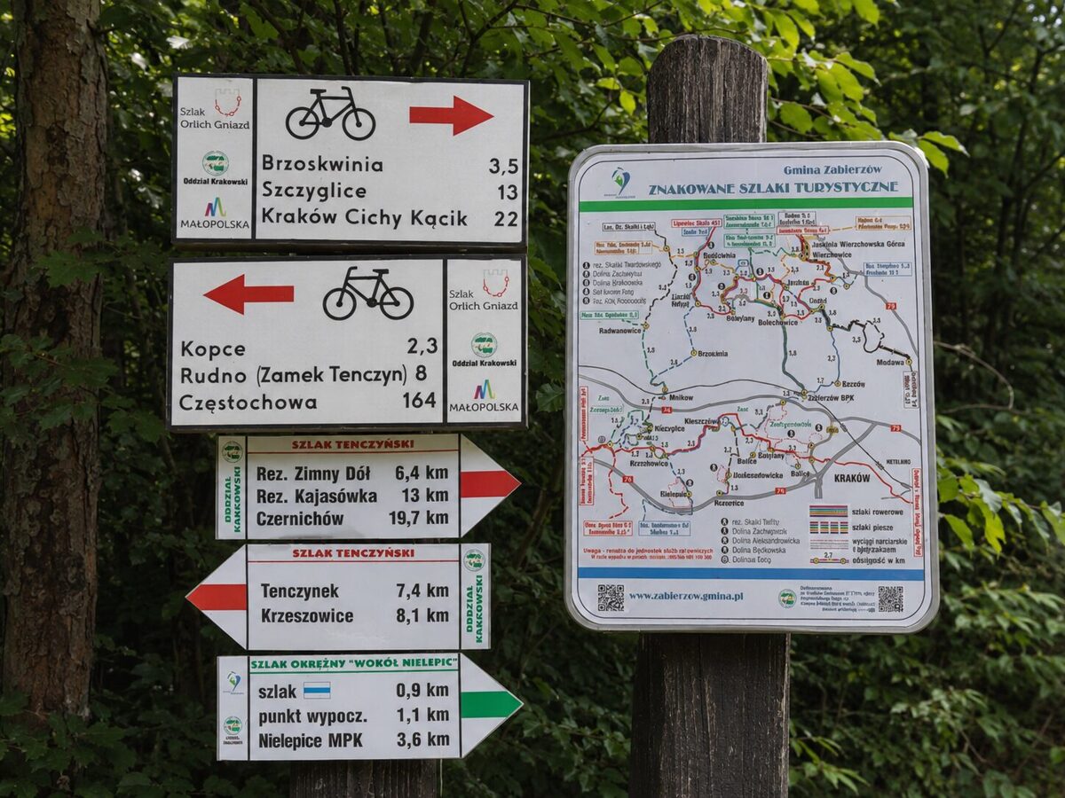 Znak szlaku turystycznego na drzewie w lesie