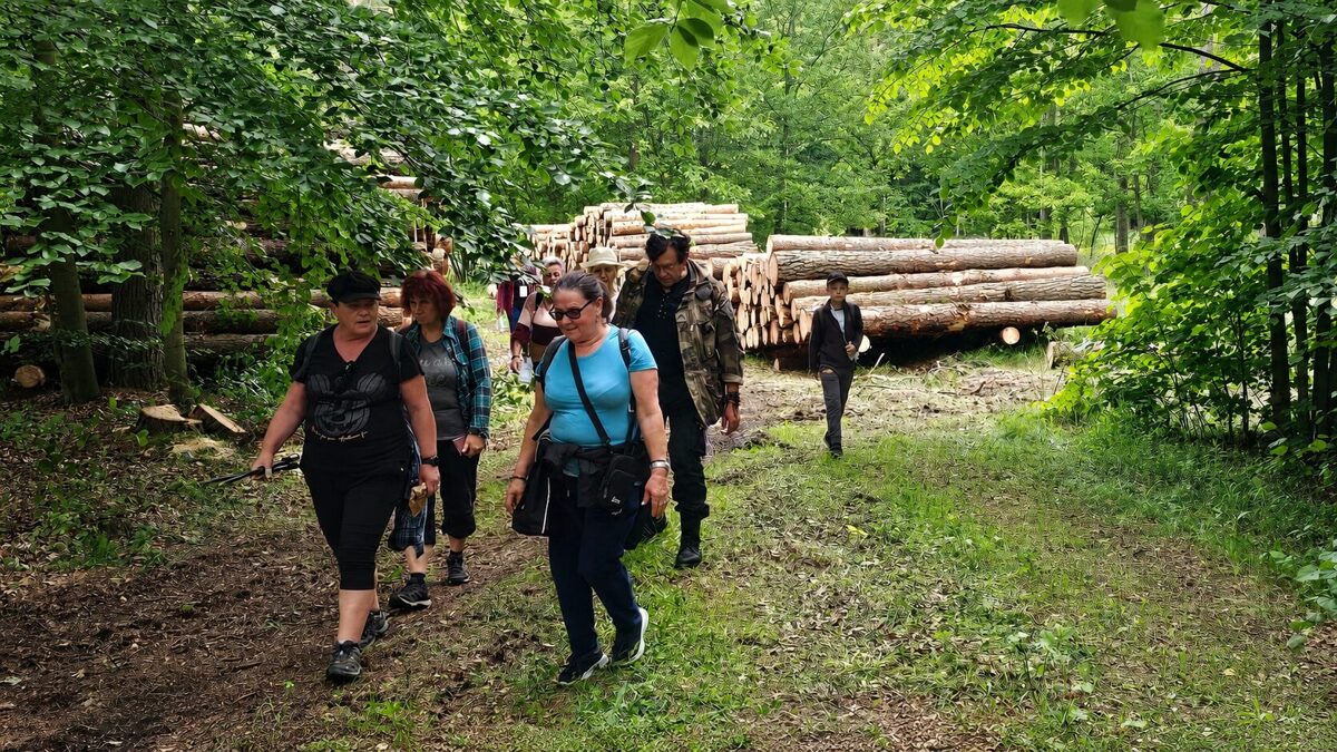 Uczestnicy XX Rajdu Jurajskiego podczas wędrówki