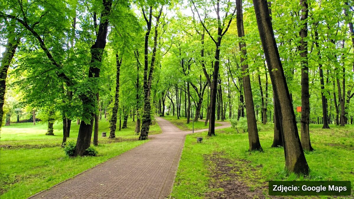 Spacer po Chorzowie – parkowa ścieżka