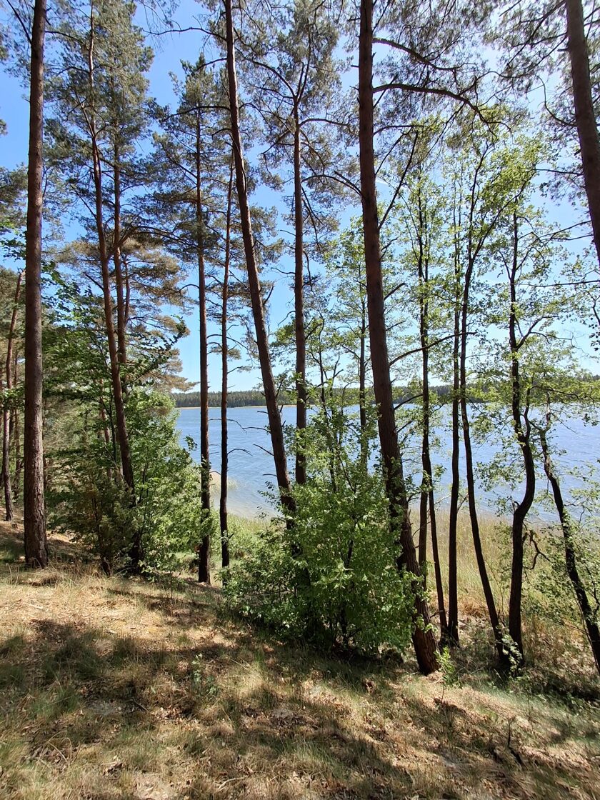 Jezioro Wdzydze